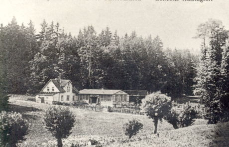 Geschichte-Parkgaststätte-und-Park-Laucha-01 Waldschänke Lauchaer Holz