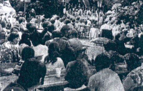 Veranstaltung im Park Laucha