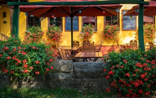 Biergarten im Sommer mit Blumen Biergarten im Sommer mit Blumen